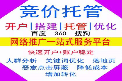 SEM运营推广助力行业领导地位